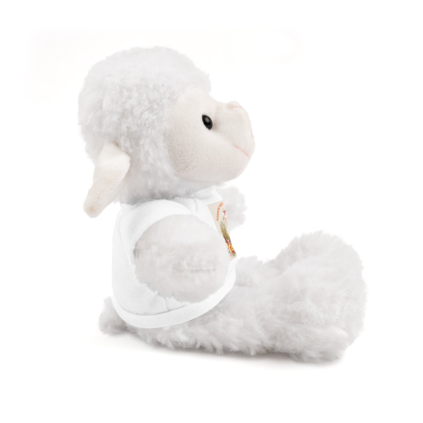 Personalized Stuffed Animal with Tee - ‘Somebunny Loves You’ Bear