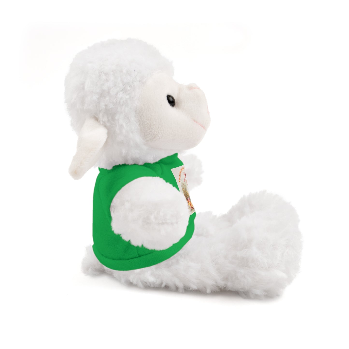 Personalized Stuffed Animal with Tee - ‘Somebunny Loves You’ Bear